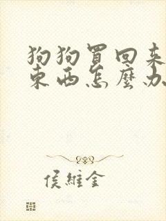 狗狗买回来不吃东西怎么办