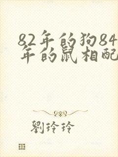 82年的狗84年的鼠相配吗