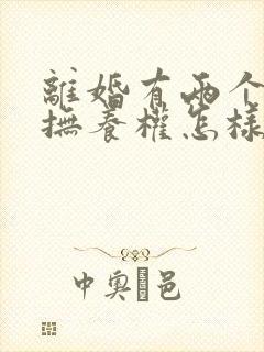 离婚有两个小孩抚养权怎样判定