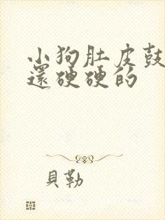 小狗肚皮鼓鼓的还硬硬的