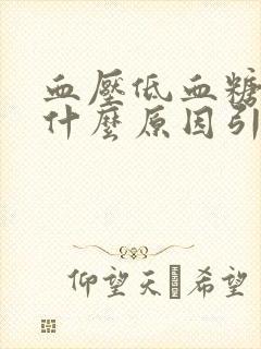 血压低血糖低是什么原因引起的封面