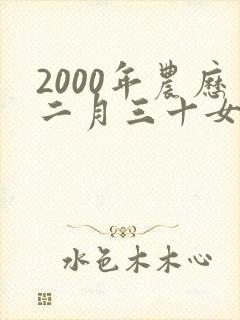 2000年农历二月三十女子命运
