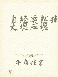 月经突然掉了一大块血块