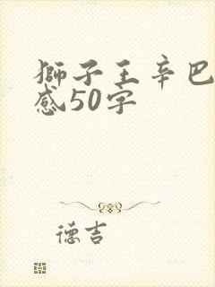 狮子王辛巴读后感50字封面