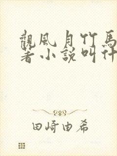 观风月竹马篇原著小说叫什么名字封面