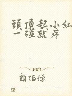 头顶起小红疙瘩一碰就疼