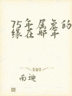 75年属兔的姻缘在哪年