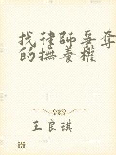 找律师争夺孩子的抚养权封面