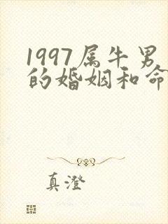 1997属牛男的婚姻和命运