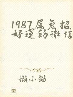 1987属兔招好运的微信名