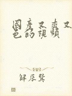 国产又爽又黄又色的视频