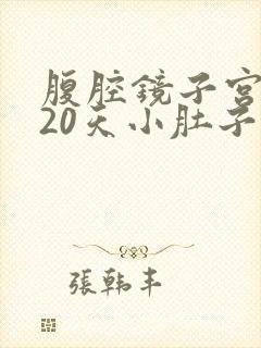 腹腔镜子宫切除20天小肚子隐隐的痛