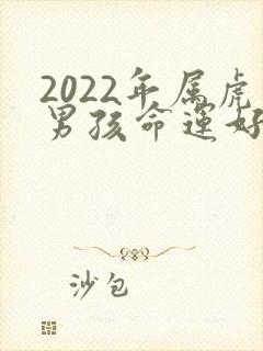 2022年属虎男孩命运好不好封面