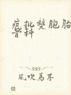 疯批双胞胎兄弟骨科封面