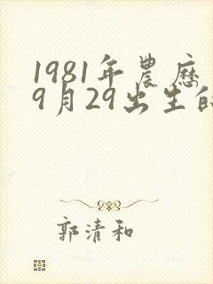 1981年农历9月29出生的命运