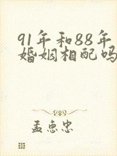 91年和88年婚姻相配吗