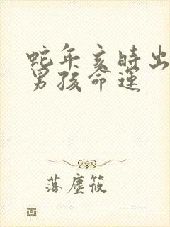 蛇年亥时出生的男孩命运