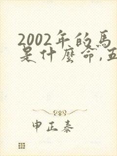 2002年的马是什么命,五行属性封面