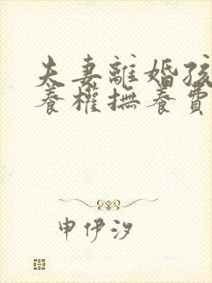 夫妻离婚孩子抚养权抚养费怎么判定