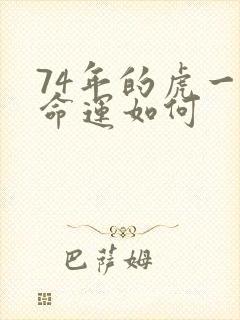 74年的虎一生命运如何封面
