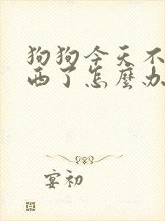 狗狗今天不吃东西了怎么办