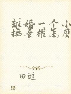 离婚一个小孩子抚养权怎么判定