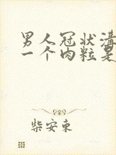 男人冠状沟长了一个肉粒是怎么回事封面