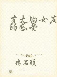 有大胸女友做过的感受