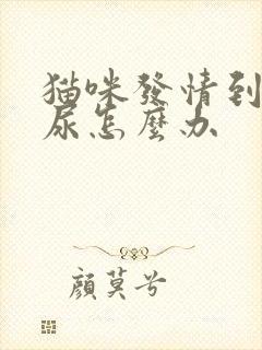 猫咪发情到处乱尿怎么办