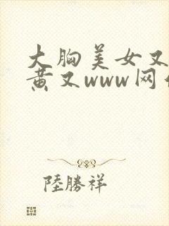 大胸美女又黄又黄又www网站