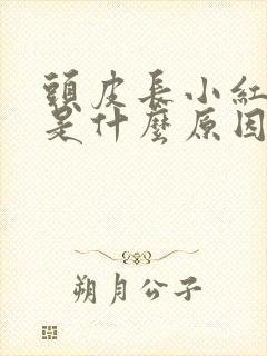 头皮长小红疙瘩是什么原因引起的