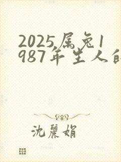 2025属兔1987年生人的运势和财运封面