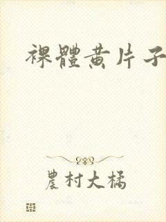 裸体黄片子封面