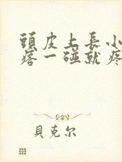 头皮上长小红疙瘩一碰就疼