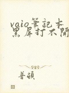 vaio笔记本黑屏打不开机怎么办