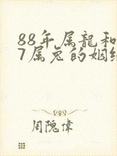 88年属龙和87属兔的姻缘怎样