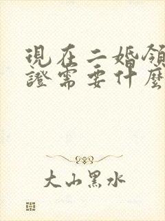 现在二婚领结婚证需要什么证件