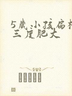 5岁小孩扁桃体三度肥大