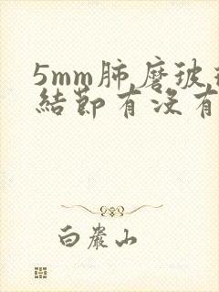 5mm肺磨玻璃结节有没有可能消失