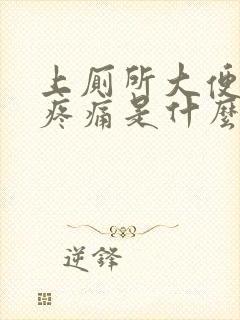 上厕所大便拉血疼痛是什么情况