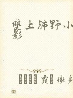 双上肺野小结节影