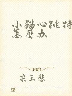 小猫心跳特别快怎么办