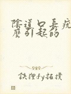 阴道口长疣是怎么引起的