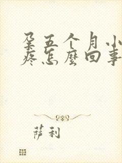 孕五个月小肚子疼怎么回事