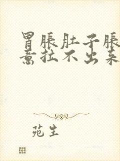 胃胀肚子胀有便意拉不出来怎么回事