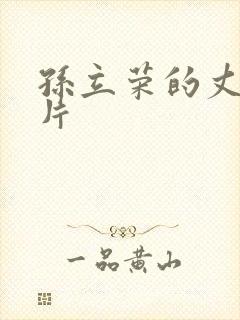 孙立荣的丈夫照片