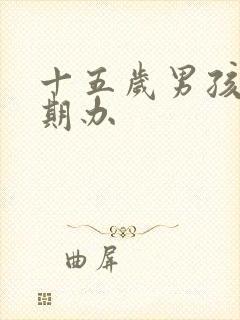 十五岁男孩叛逆期办