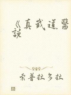 《真武道医》小说