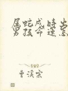 属蛇戌时出生的男孩命运怎样