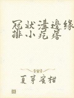 冠状沟边缘的一排小疙瘩